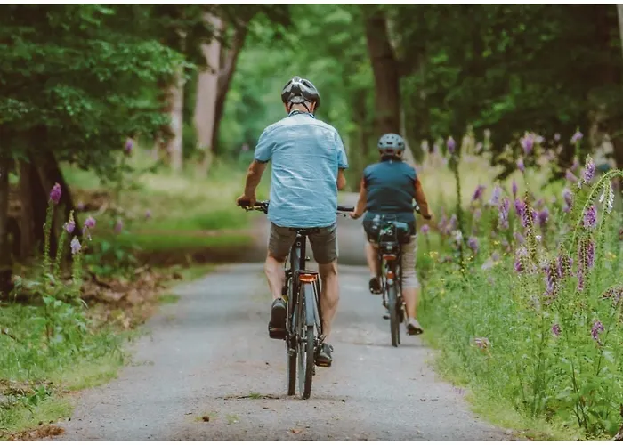 Veluwelodge Xl With Hot Tub 6 Persons